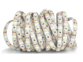 Bandă LED 12V | 2835 | 600LED | 5m | IP65 | Alb rece (6000K)