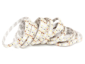 Bandă LED 12V | 3014 | 600LED | 5m | IP65 | Alb rece (6000K)