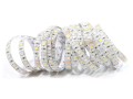 Bandă LED 12V | 5050 | 300LED | 5m | IP65 | RGB + W (Alb rece (6000K))