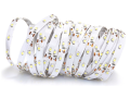 Bandă LED 12V | 3528 | 60LED | 1m | IP20 | Alb rece (6000K)