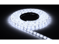 Bandă LED 12V | 3528 | 60LED | 1m | IP20 | Alb rece (6000K)