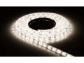 Bandă LED 12V | 3528 | 120LED | 1m | IP20 | Alb neutru (4500K)