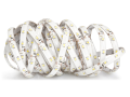 Bandă LED 12V | 3528 | 300LED | 5m | IP65 | Alb rece (6000K)