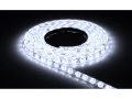 Bandă LED 12V | 3528 | 300LED | 5m | IP65 | Alb rece (6000K)