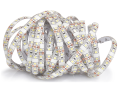 Bandă LED 12V | 3528 | 600LED | 5m | IP65 | Alb rece (6000K)