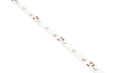 Bandă LED 12V | 3528 | 60LED | 1m | IP20 | Alb rece (6000K)