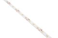 Bandă LED 12V | 3528 | 300LED | 5m | IP65 | Albastră
