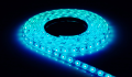 Bandă LED 12V | 3528 | 300LED | 5m | IP65 | Albastră