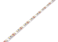 Bandă LED 12V | 3528 | 600LED | 5m | IP20 | Alb neutru (4500K)