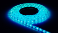 Bandă LED 12V | 3528 | 600LED | 5m | IP20 | Albastră
