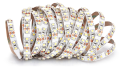 Bandă LED 12V | 3528 | 120LED | 1m | IP20 | Alb rece (6000K)