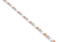 Bandă LED 12V | 3528 | 120LED | 1m | IP20 | Alb rece (6000K)