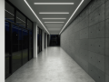Bandă LED 12V | 3528 | 120LED | 1m | IP20 | Alb rece (6000K)