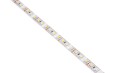Bandă LED 12V | 3528 | 600LED | 5m | IP65 | Alb rece (6000K)