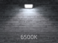 Proiector CUDI 2 în 1 - halogen LED 20W - Negru - Alb rece (6500K)