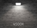 Proiector CUDI 2 în 1 - halogen LED 50W - Negru - Alb neutru (4500K)