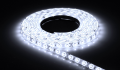 Bandă LED 12V | 5630 | 60LED | 1m | IP20 | Alb rece (6000K)