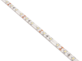Bandă LED 12V | 2835 | 300LED | 5m | IP65 | Alb rece (6000K)