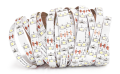 Bandă LED 24V | 2835 | 60LED | 1m | IP20 | Alb neutru (4500K)