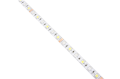 Bandă LED 12V | 5050 | 300LED | 5m | IP65 | RGB + NW (Alb neutru (4500K))