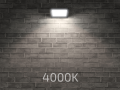 Proiector - halogen LED Tiga 10W - Negru - Alb neutru (4000K)